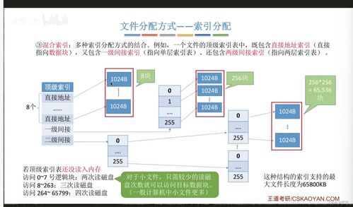文件的物理结构 数据处理与存储支持服务的基石